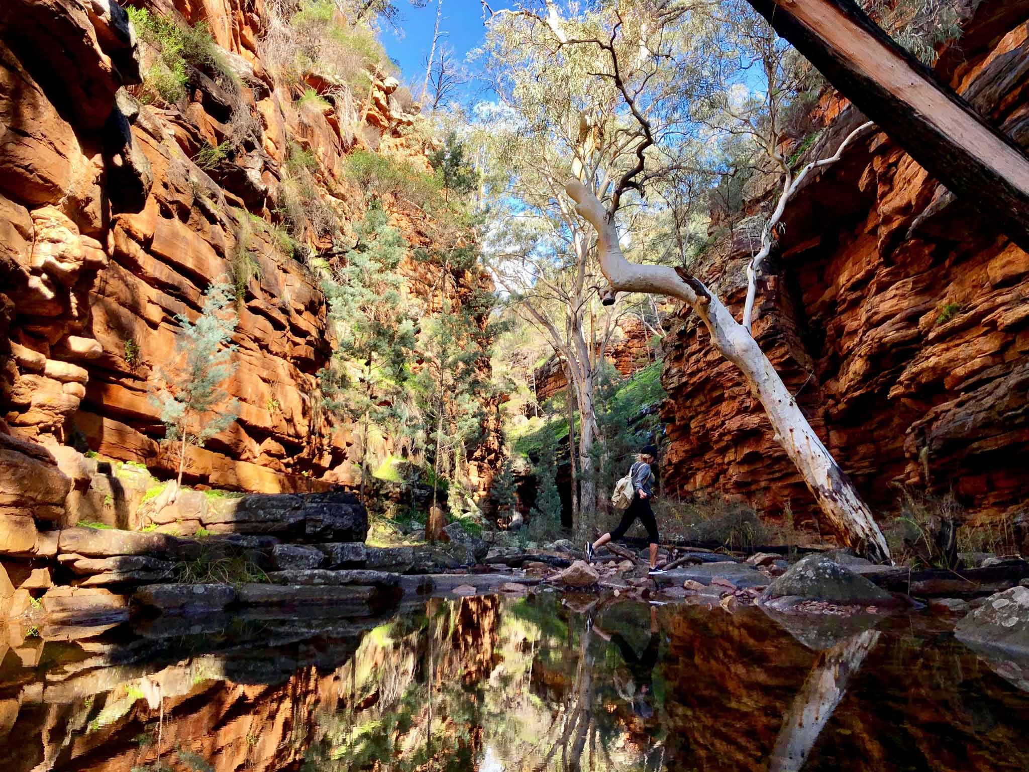Alligator Gorge, Mount Remarkable National Park