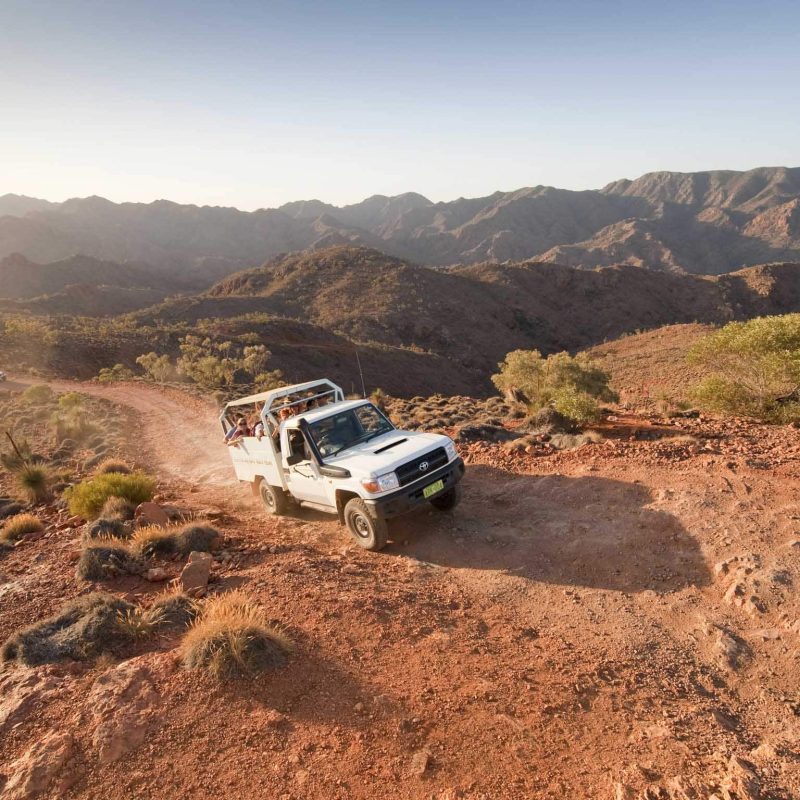 Signature Experiences