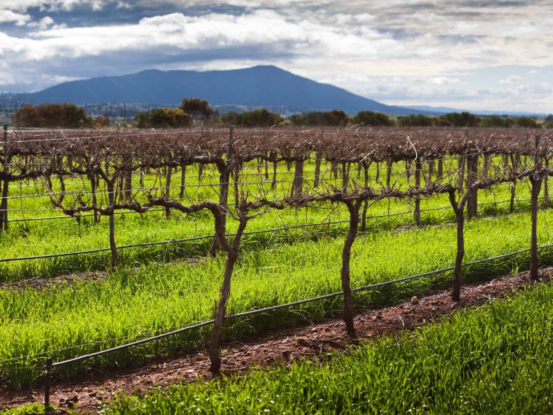 Tourism Yorke And Mid North Dale Smith Remarkable View 276