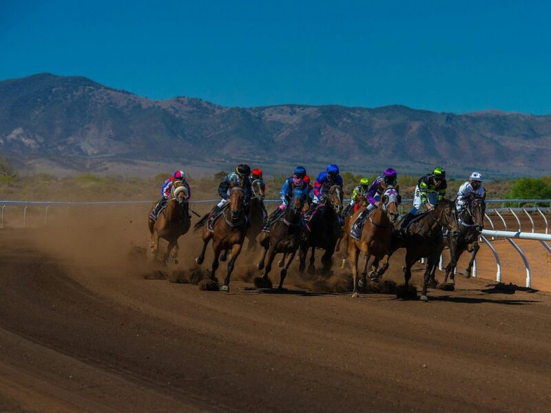 Thoroughbred Racing at the Port Augusta Racecourse
