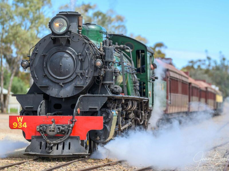 Steam Train - Pichi Richi Heritage Railway