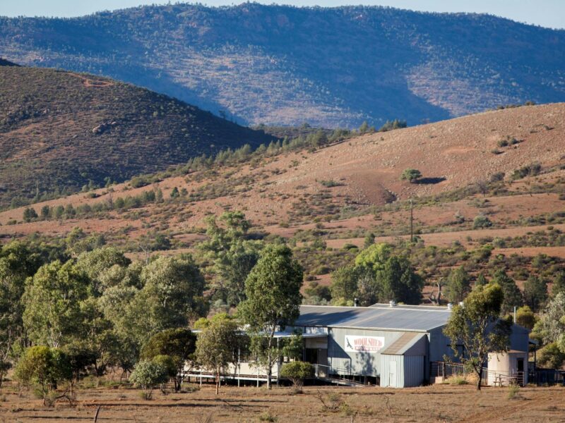 Exterior shot of the Woolshed Restaurant at Rawnsley Park Station