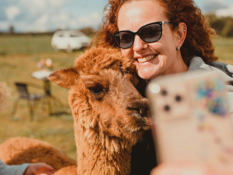 Taking a selfie with an alpaca is a must do experience!